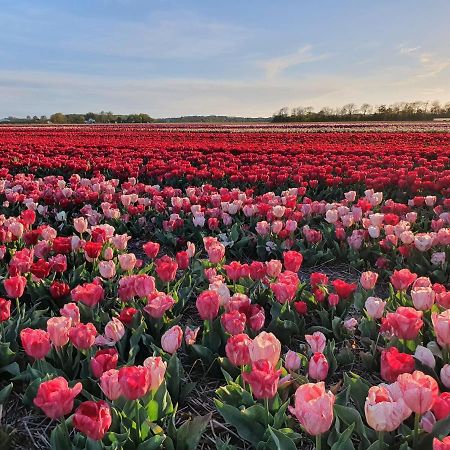 Buitenhuis Egmond Egmond aan den Hoef Kültér fotó